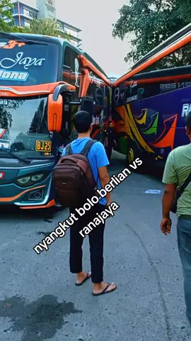 berlian jaya adu ekor ranajaya #busakap #busmania #pariwisata #terminalgrogol 