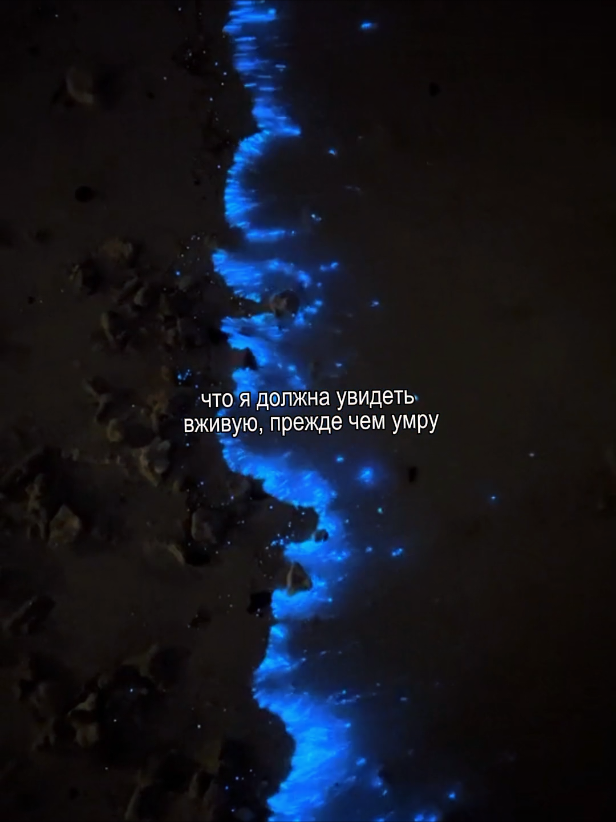 моана vibes #bioluminescence #bioluminescencebeach #биолюминесценция #fyp #foryou TikTok don't spoil the quality 