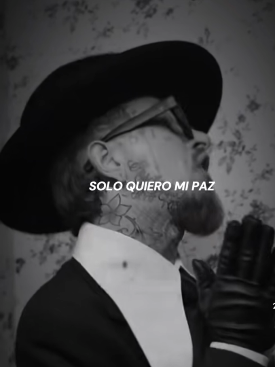 Solo quiero mi paz caminando descalzo#cancionnueva #musicanueva #lonuevo #lomejordetiktok #lomasviral 