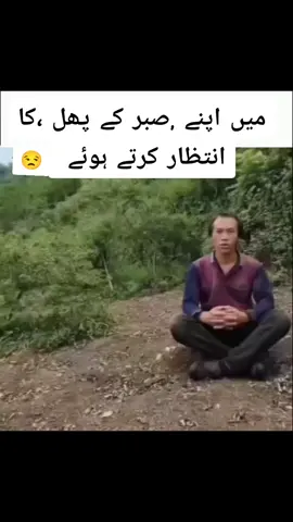 kabhii to mill eee jayegaaa❤️💔💕🥺🙄🙂😩#catsofinstagram #funnytiktok #glintofthoughts💫 #onthisday #foryou #trending #welovetosmile #fyp #fypシ゚viral #funnymoments #memestiktok #memesdaily #fy #fyp #hillarious #laughter 