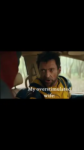 #lizard #lizardmeme #fyp #husbandwife #fypシ 