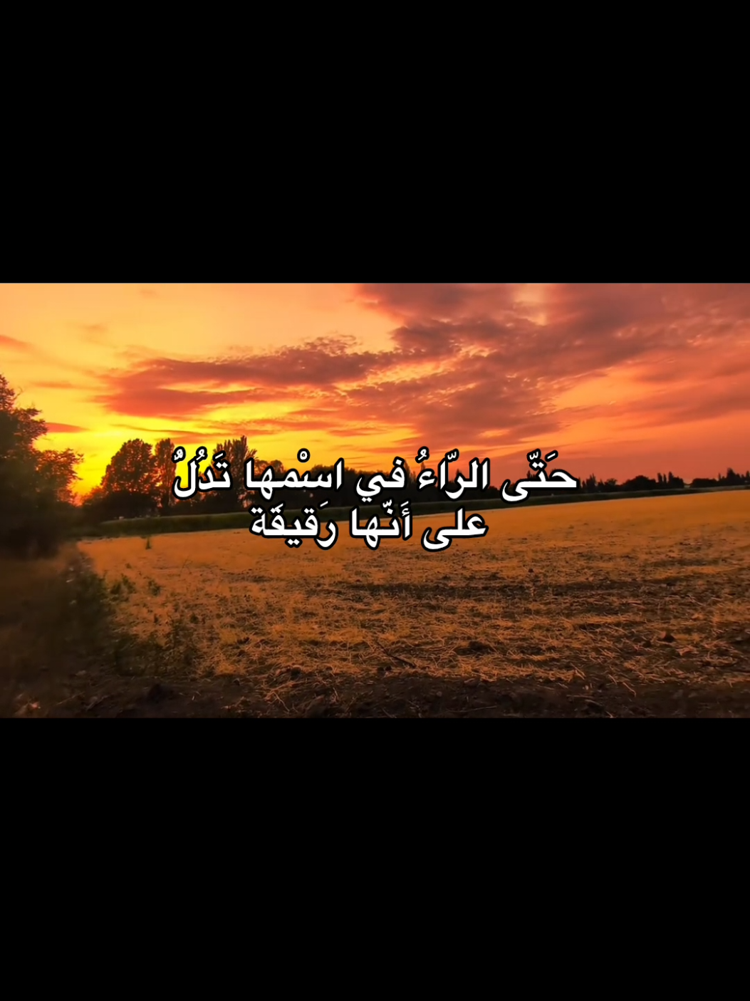 #اقتباسات #عبارات #lovequotes #spidey  #foryoupage 