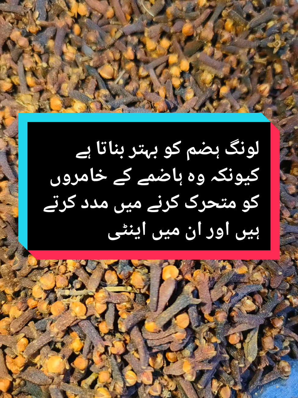 لونگ ہضم کو بہتر بناتا ہے کیونکہ وہ ہاضمے کے خامروں کو متحرک کرنے میں مدد کرتے ہیں اور ان میں اینٹی بیکٹیریل خصوصیات ہیں۔ لونگ ایسی خصوصیات پر مشتمل ہے جو کینسر کو روکنے میں مدد کرتی ہیں۔ لونگ جگر کو بیماری اور نقصان سے بچانے میں مدد کر سکتے ہیں۔ اس کے استعمال سے بلڈ شوگر کی سطح کو کنٹرول کرنے میں مدد مل سکتی ہے #معدہ_کی_امراض_کیلۓآسان_عمل💯 #معدہ_کی_امراض_کیلۓآسان_عمل💯 #معدہ_کی_امراض_کیلۓآسان_عمل💯 #herbalism ##foryou 