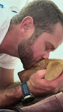 Paquito Segundo 🐶🚲 ahora todo depende de ti 🙏🏻 #fundacionhuellitasaleman #orlandoaleman #oa3090 