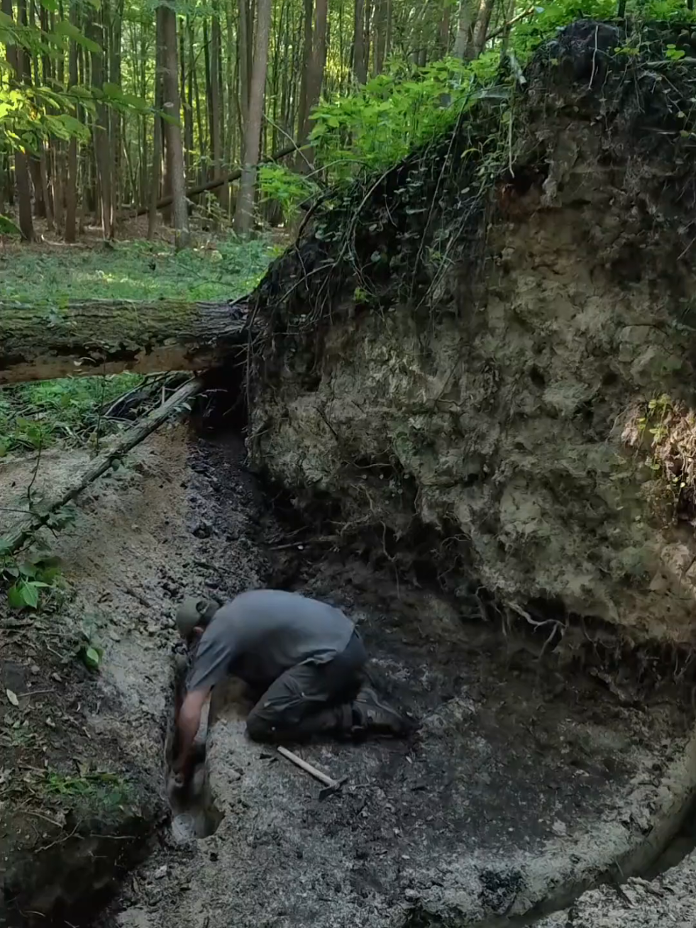 Survival Boy: BUILDING house shelter Camping in the WILD #survival #Outdoors #camping 