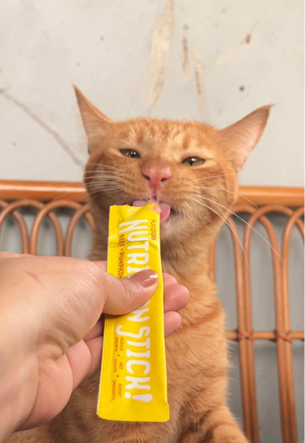 POV: your cats loves treats time 😛🐱#cattreats #treats #catfood #catsoftiktok #funnycat  