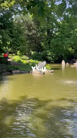 You! #fyp #foryou #subscribe #brushedandpolished 