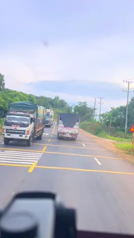 QL 14 hội tụ chim xanh , chim vàng 🥴