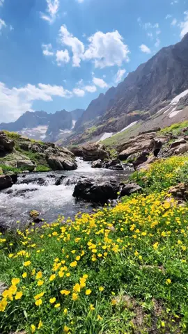 Geverok⛰️🌷😍#hakkari #doğa #nature #rahmiiyinc 