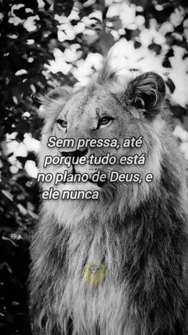 #reflexion #motivation #statusvideo 