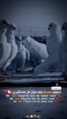 #اللهم_صل_على_محمد_وآل_محمد 🩵🎶@زغلول.٢٠١٧ @علي محسن 🦅 @فكات ارافل وحمر الديوانية @شام العلواني 🍇🧷 @حيادر 💜✌️ @﮼ࢪضيوو 𓅔 #اكسبلور #مشاهير_تيك_توك #متابعه_ولايك_واكسبلور_احبكم #الشعب_الصيني_ماله_حل😂😂  