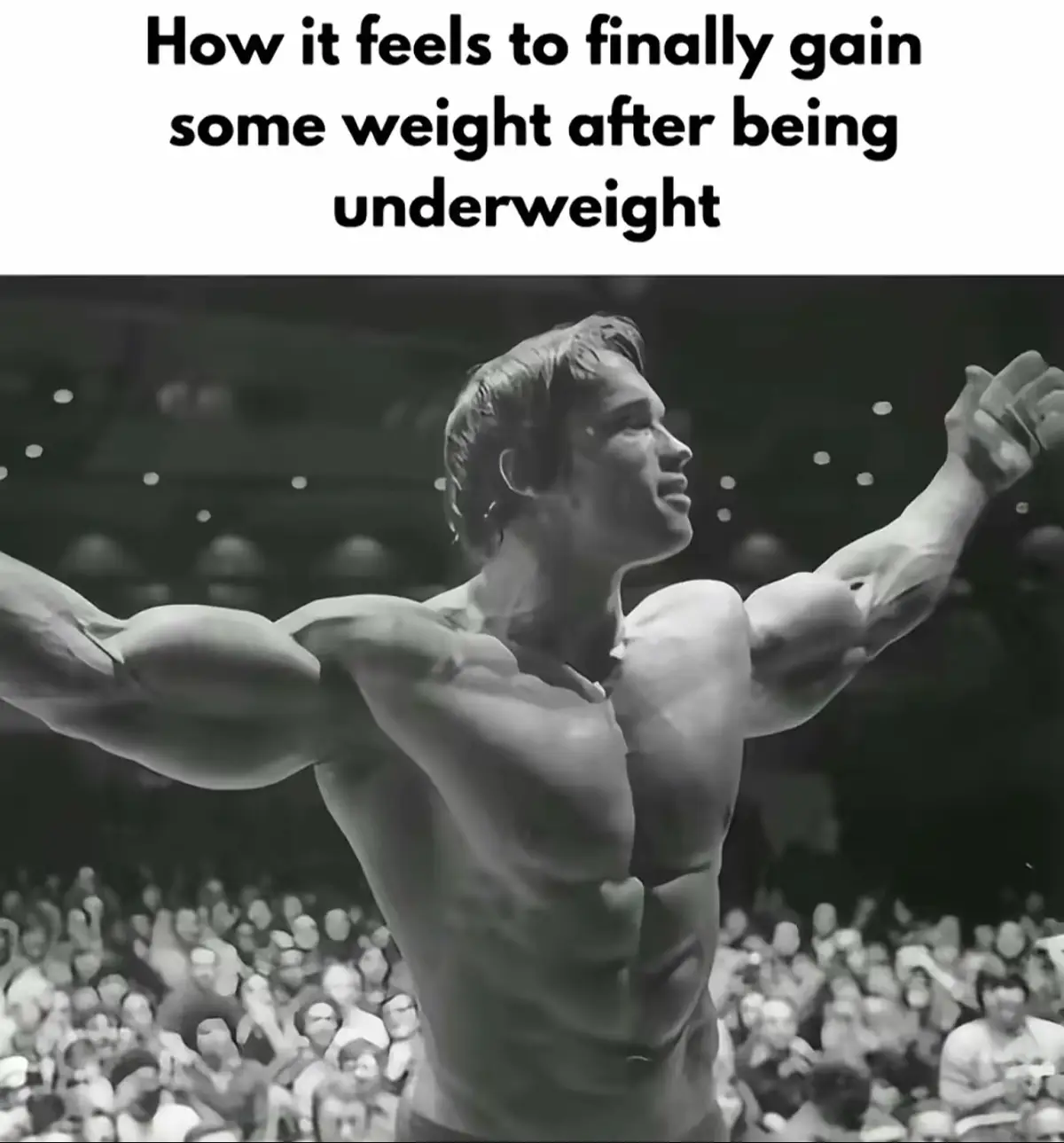 Stuck to my plan. Got bigger. Here I am #bodybuildingmotivation #bigarms #bulkingcoach #bulkingseason #physiqueupdate 