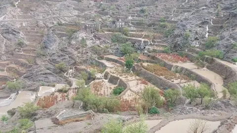 المطر في جبل راس، اليمن، يحمل معه جمالًا خاصًا ورائحة مميزة للأرض. إنه يثير الشوق والحنين، ويجدد الأمل في النفوس. المطر هو نعمة من الله، يغسل الأرض ويحيي الزرع، ويجلب معه نسمات باردة ومنعشة