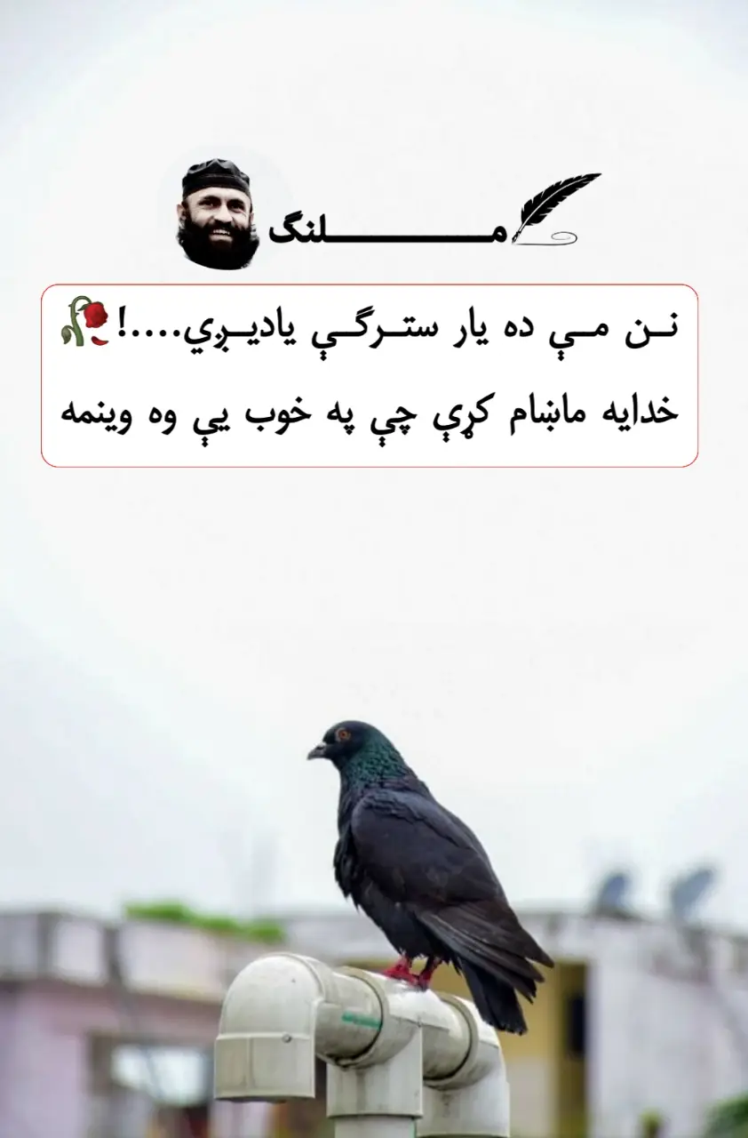 @M A ل A ن G🪓 #tiktok #foryou 