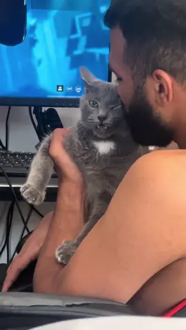 El no entiende que ella no le gusta los besos 😤 #parati #paratiiiiiiiiiiiiiiiiiiiiiiiiiiiiiii #gato #gatostiktok #leidy 