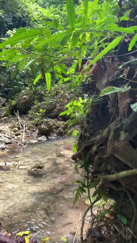 Herodes falls #fyp #nature #falls 