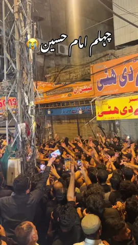 #20safarchelumimamhussainas😭 #20safar #chehlum_imam_hussain #zuljinah_mola_imam_hussain_as #yazehra 