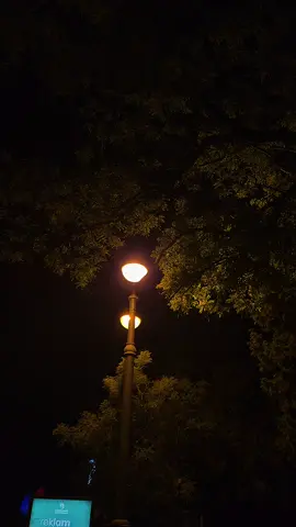 Və o gecə son gecə idi... Hər şey sanki susmuşdu o gecə. Danışmağa söz yox idi, susmağa səbəb çox. O, getdi... səs-səssiz, səbəbsiz. Ardınca qalan isə təkcə sükutun içində boğulan xatirələr oldu. Gözlərimin içinə baxıb getdi. Elə bil, baxışlarında gizlədilmiş bir “bağışla” vardı, amma dilə gəlmədi. Mən isə heç vaxt eşidə bilmədiyim o bir cümləni gözlədim “qalacam”. Bir vaxtlar “hər şeyin olacağı” yer, indi “heç nəyin qalmadığı” bir boşluğa çevrildi. Divarlar da yoruldu, mən də. Göz yaşları dənizə dönsə də, heç nə dəyişmədi. Çünki o gecə, sonuncu idi. İnsan elə bir anla qarşılaşır ki, bir ürəkdə neçə ömrün dağıldığını hiss edir. Sən birinə hər şeyini verirsən, o isə sənə sadəcə bir gecə buraxır və o gecə, hər şeyi bitirir. Nə səs qaldı, nə nəfəs. O gecə getdi və özüylə məni də apardı. Amma heç vaxt geri dönmədi... #mrdpain #mrdbshv 