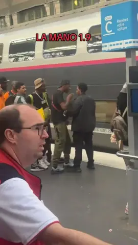 Ah je crois qu’il est fâché la mano #pov #pourtoii #fyp #viralvideos #lamano19 