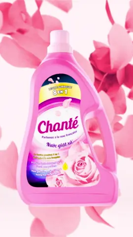 Sải bước thanh lịch với Chanté hương hoa Hồng Pháp mới 🌹#chante #chanté #saibuocthanhlich #nuocgiatxa8trong1 #VietnamNextTopModel2025 