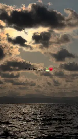 #اقتباسات_عبارات_خواطر #fyppppppppppppppppppppppp #الشعب_الصيني_ماله_حل😂😂 #تونس_المغرب_الجزائر #trendingvideo 