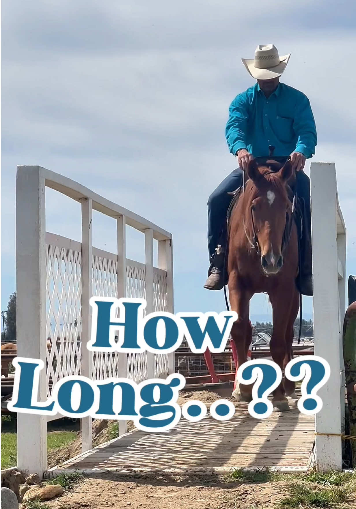 How Long is Too Long  #riding and #training a #horse #foryou #horsesoftiktok 