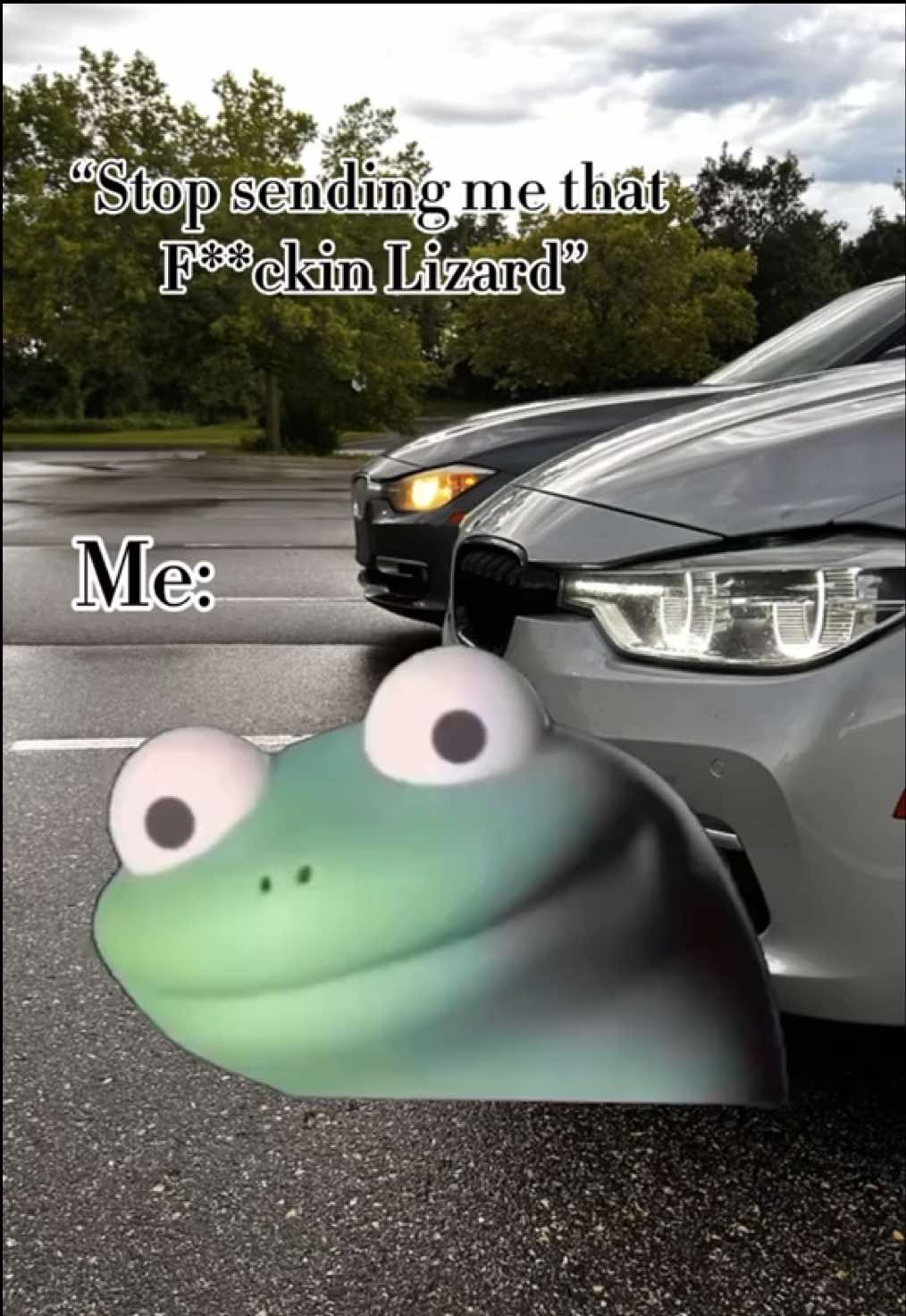 Lizard lizard lizard #bmw #lizard ##3series #fypシ #MemeCut 