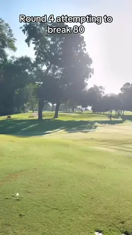 How many more rounds do y’all think it will take? #golf #golftiktok #golftok #tattoo #tattoos 