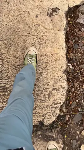 pohon jubleg selalu punya cerita #fyppppppppppppppppppppppp #parungbogor 