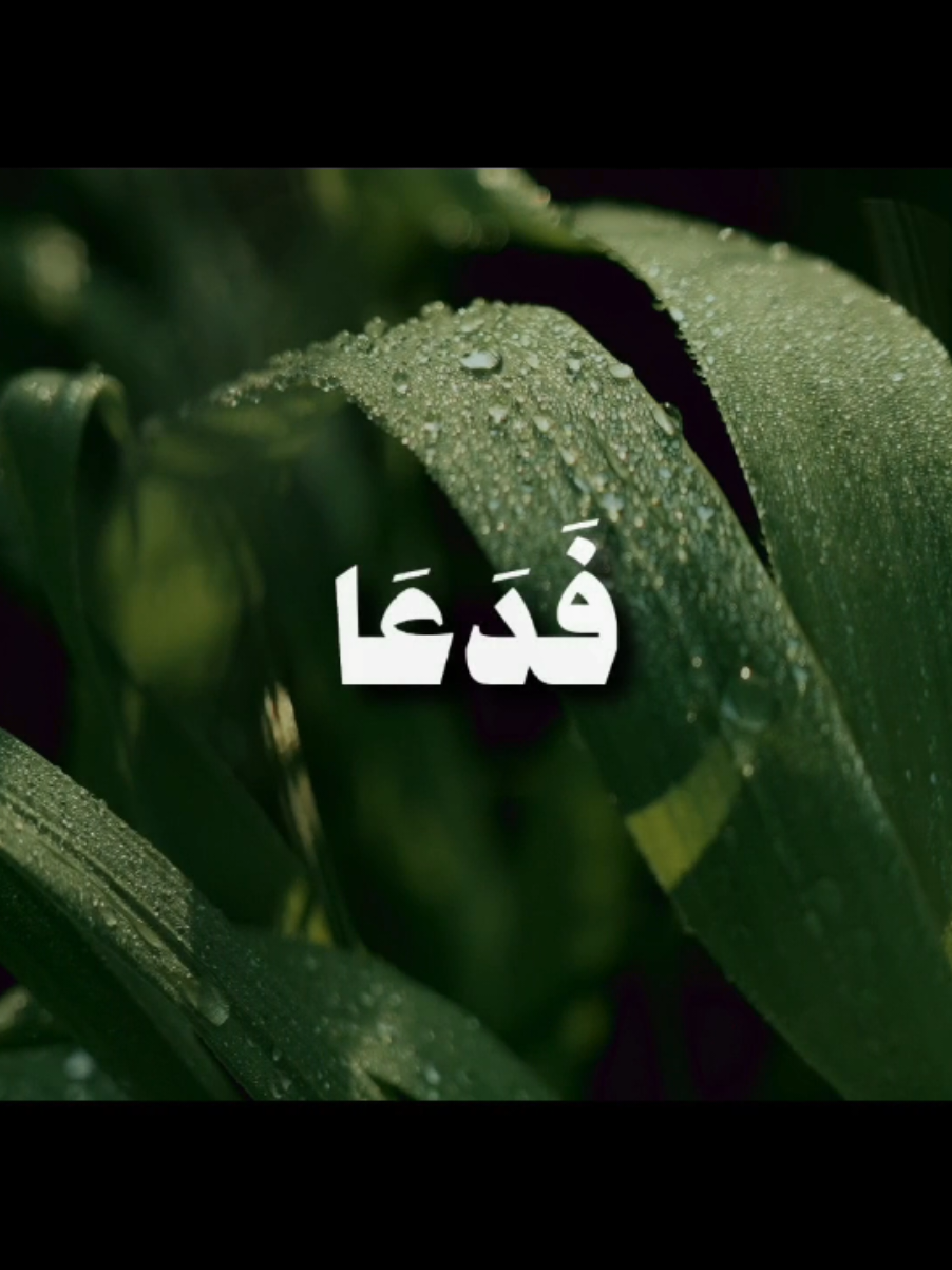 فَدَعَا رَبَّهُ أَنِّي مَغْلُوبٌ فَانْتَصِرْ } [سُورَةُ القَمَرِ: ١٠] القارئ: علي جابر  #قران #قران_كريم #quran #علي_جابر_رحمه_الله #علي_جابر 