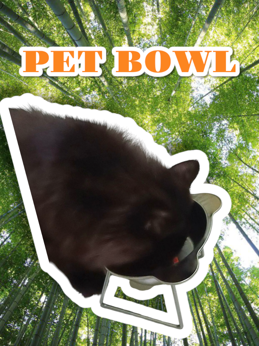#petbowl  #catbowl  #dogbowl  #stainlessbowl  #bowl 