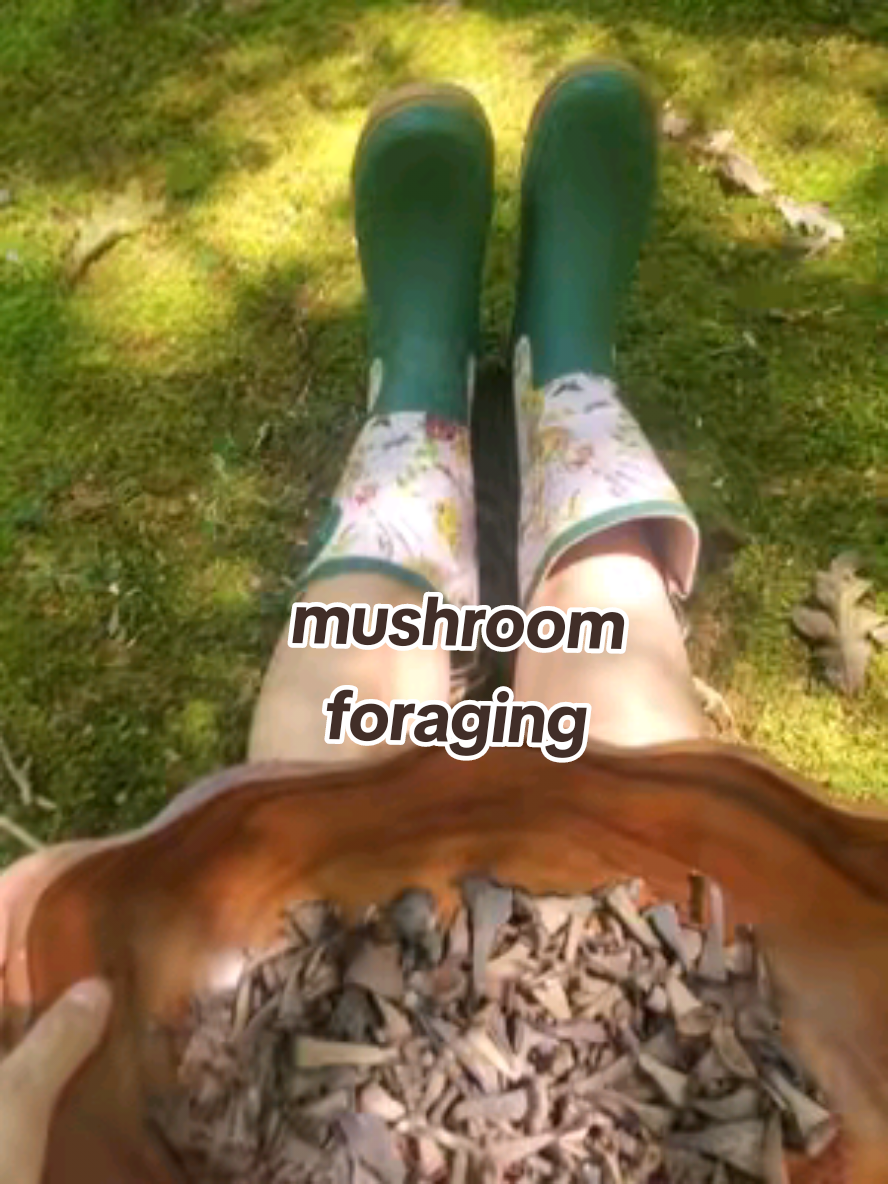 just livin' my best hobbit life. 🍄 #foraging #hobbitcore #forestcore #forestaesthetic #blacktrumpetmushroom 