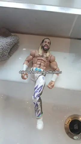 #WWE #sethrollins #wweactionfigures #fyp #xybca 