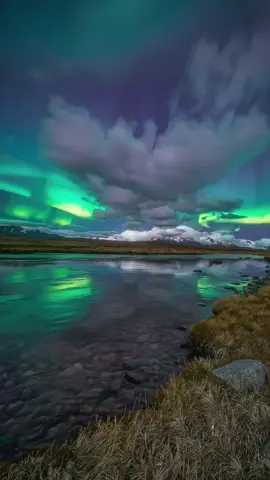 #aurora #northernlight #livewallpaper4k #livewallpapers #4klivewallpaper #calmvibes 