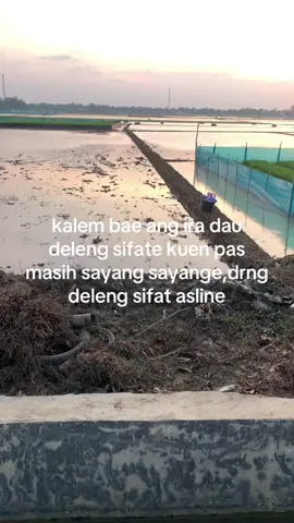 #indramayu_taiwan_🇮🇩🇹🇼 #tarling 