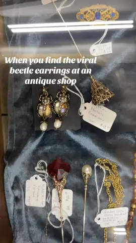 Some people lol. #earrings #beetleearring #insects #insectjewelry #fyp 