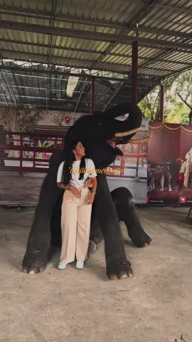 Il cuore è rimasto dove il tempo scorre lento, tra cieli aranciati e sorrisi che parlano più delle parole 🪷#thailand🇹🇭 #CapCut #foryou 