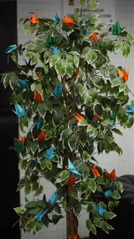 💙 Semana da Saúde 2025 no TRT-10 Com o tema “Longevidade e Vida”, o Tribunal deu início, nesta quarta-feira (13), a uma programação especial voltada para o bem-estar físico e mental de magistrados(as), servidores(as), terceirizados(as) e estagiários(as). Ao longo da semana, o evento reforça que longevidade não é apenas sobre viver mais, mas sim viver com qualidade, equilíbrio e propósito. 📅 As atividades seguem até sábado (16)! Confira o cronograma completo no site da Décima!📲    #TRT10 #Saúde #justiçadotrabalho #fyp 