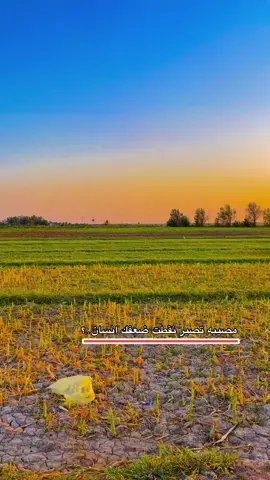 #اللهم_صلي_على_نبينا_محمد #تحياتي_لجميع_المشاهدين_والمتابعين #تصوري_احترافي_الاجواء👌🏻🕊😴 