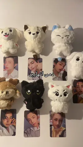 #متجر_كيبو #كيبوب #KPop #انهايبن #انجين #enhypen #enhypenengene #engene #engene #jay #heeseung #sunghoon #jake #jungwon #sunoo #niki #explore 