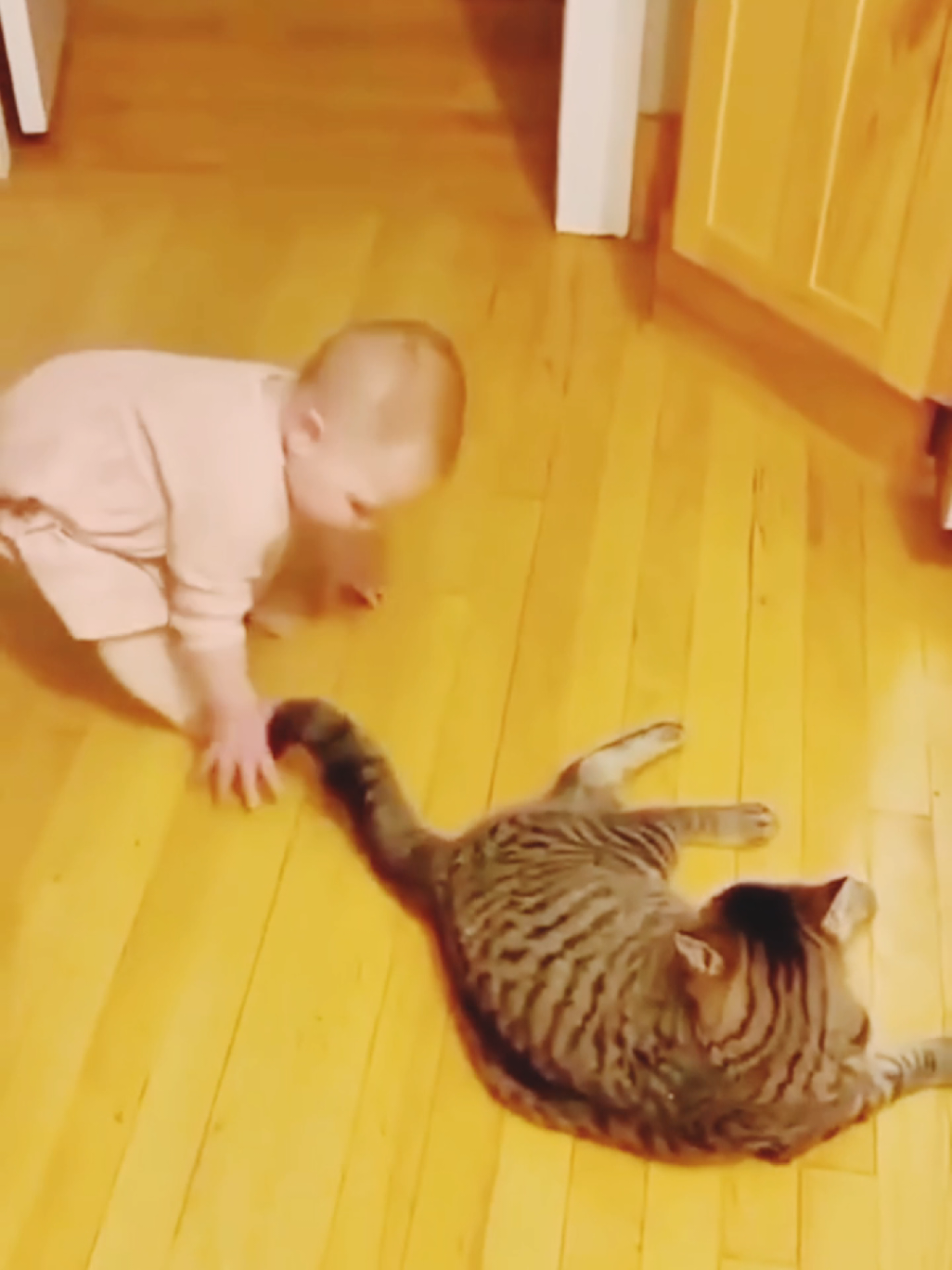 noughty babies 🤣🤣😭 #babiesvideo #cutebaby #babyvideo #funnyvideos #usa #newyork #unfreezemyacount #videoes #videoviral 