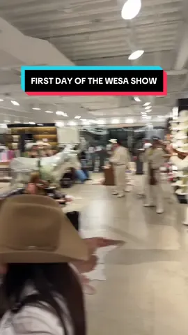 FIRST DAY OF THE WESA SHOW🤠#fyp #western #wesa #dallas #rockem 