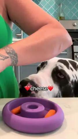 Does your dog knock kids over?I’ve got to keep him busy or it’ll be a disaster! #dogtoy #enrichment #hilarious #fyp #birthdayparty 