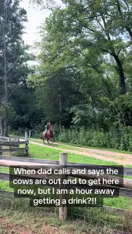 Hey I got the drink! #horserunningfullspeed #horsesoftiktok #fyp #horsefriends #trending #cowsout #cowhorse 