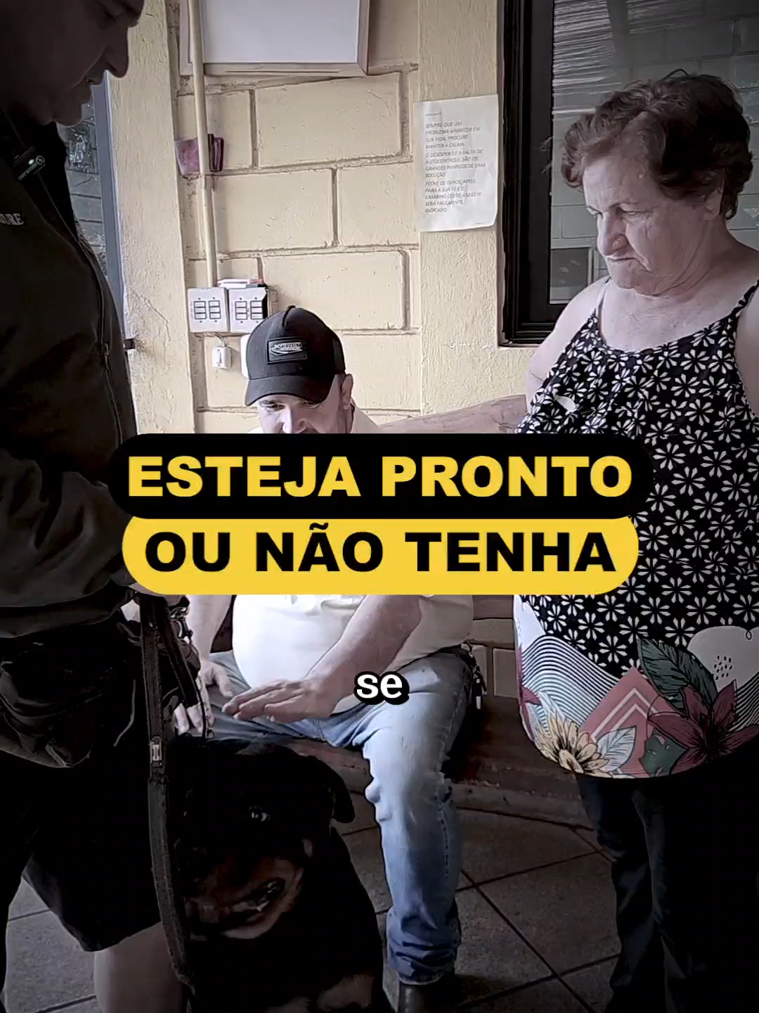 Yan não é um cão qualquer. É força bruta somada a instinto. Ter um cão assim exige mais que amor — exige preparo, liderança e controle. #cantadeiroskennel #dog #rottweiler #DogTraining