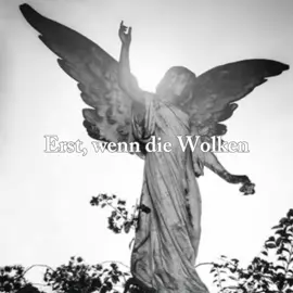 Rammstein - Engel #fyp #rock #rammstein #germany #lyrics_songs 