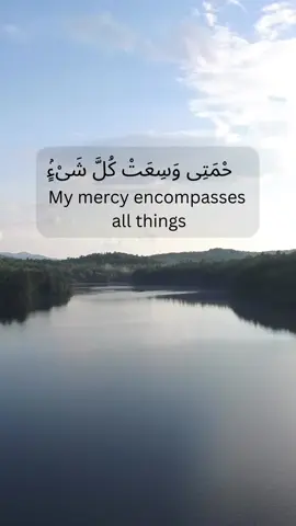 Allah’s mercy encompasses all things, so remember that Allah is waiting for you to comeback to him. #allahsmercy #islam #islamic_video #muslimtiktok #allah 