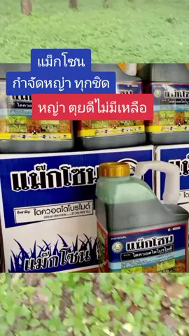 #แม๊กโซน #ยาฆ่า 
