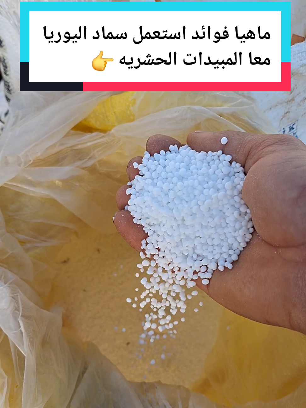 ماهيا فوائد استعمل سماد اليوريا معا المبيدات الحشريه للمكافحه والوقايه  طريقة زراعة الشمام تسميد الشمام زراعة البطيخ الأصفر طريقت تسميد الخيار السمدة للخيار  طريقة صمد الخيار زريعه الخيار درجا ازي اسمد الخيار طريقة تسميد البيذنجان طريقة تسميد الفلفل طريقة تسميد البندوره طريقة زراعة امراض البندوره امراض الخيار امراض البيذنجان امراض الفلفل أسباب تصاقط ازهار #عالم الزراعة مصطفى #الزراعة السهلا #اسرار الزراعة #زراعة الخضروات 