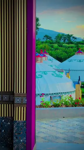 شھید پکی مشکوک دا او غازی پکی بدنام#growmyaccount✅♥️♥️♥️foryoupage #unfreezemyacount🥺 #สปีดสโลว์🎥💙 #🙏🙏🙏🙏🙏🙏🙏🙏🙏 